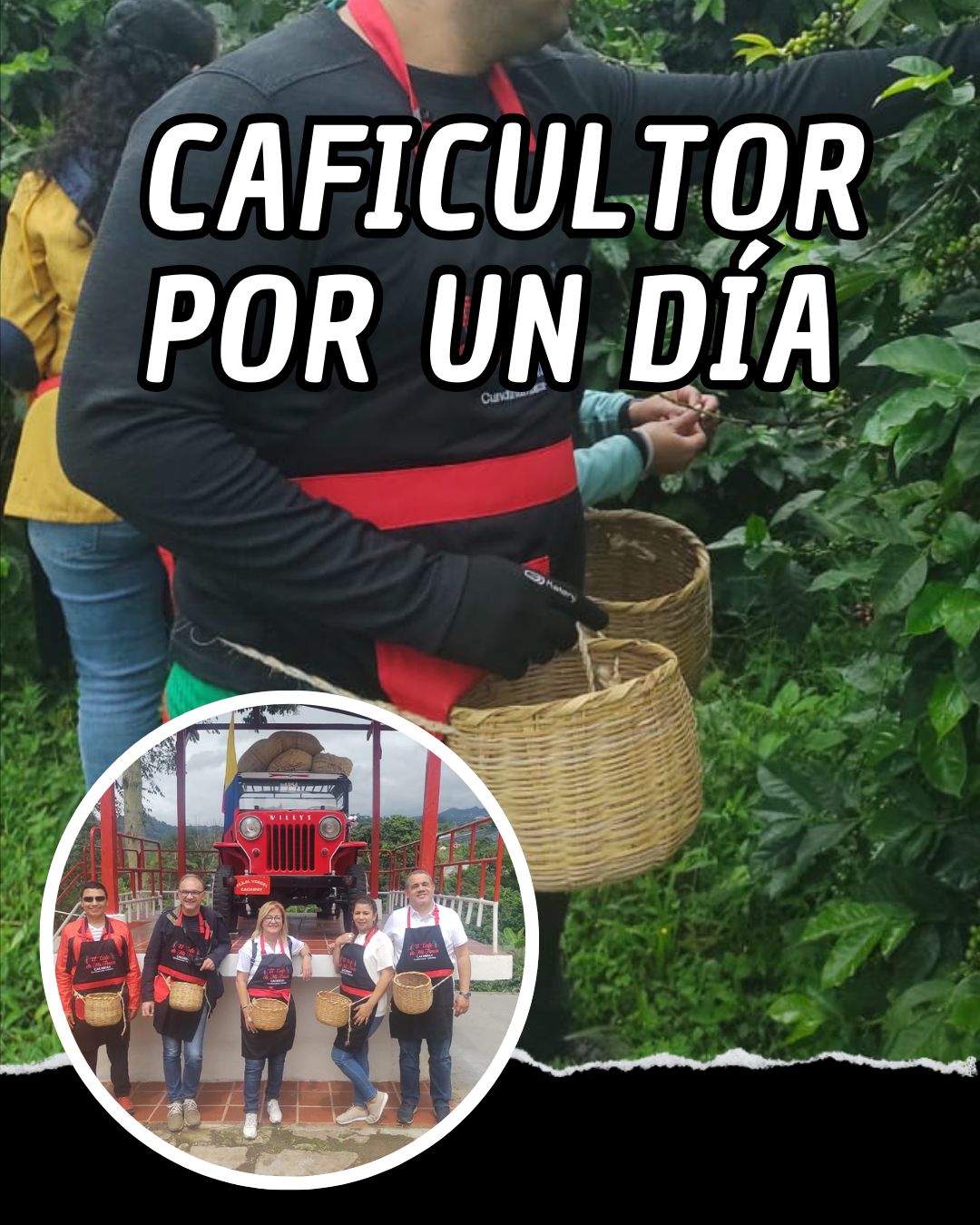 Afiche de la experiencia Caficultor por un día en Cachipay