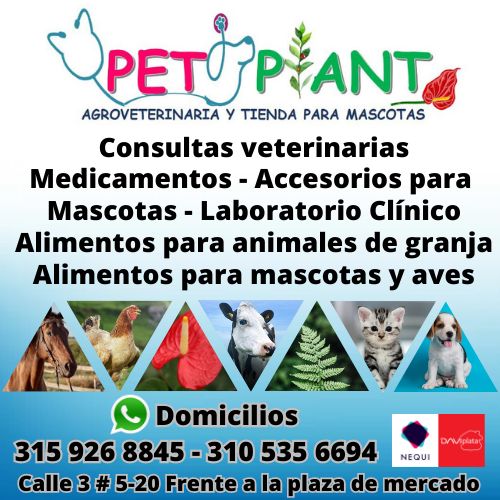 Logo de Pet Plant