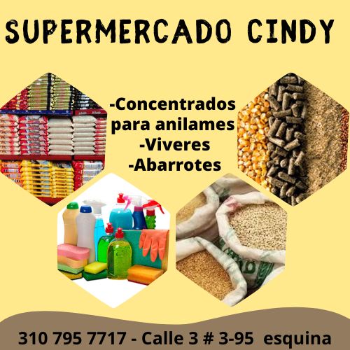Logo de Supermercado Cindy